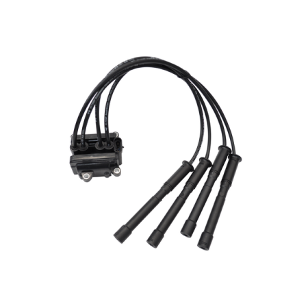 Катушка зажигания SANDERO/LOGAN 1.2 16V 06- (+провода) (30638)