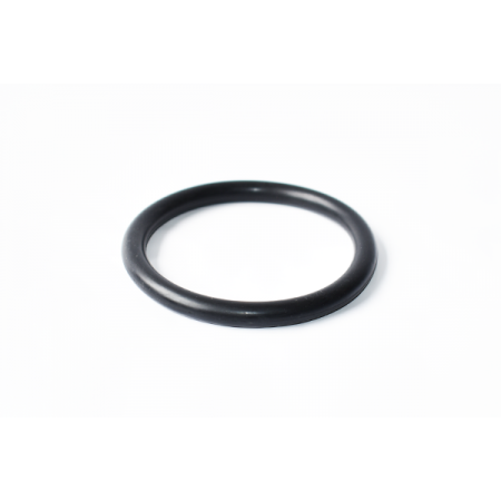 Прокладка коллектора впуск Kangoo/Duster/Clio II/Laguna II 1.4-2.0 i 01- (55799)