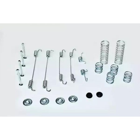 К-кт пружинок задних тормозов Duster 4x4 10- (33841)