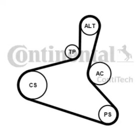 Комплект ремня генератора VW T5 1.9 TDI 03-09/Skoda Octavia 1.9TDI 00-10  (6DPK1195K2)