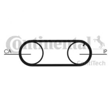 Ремінь ТНВД VW LT 2.4D/TD 79-96/Audi 100 2.0 D 82-90 (75x20.1) (CT641)