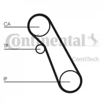 Ремень ГРМ Ford Transit Connect/Mondeo/Focus/Fiesta 1.8TDCi 99-15 (91x20) (CT983)