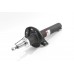 Амортизатор передній GOODREM для Caddy 04-, Golf 04-, Passat 05- (55mm) (газ.) RA0005