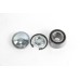 Подшипник ступицы GOODREM задний для Renault Clio, Megane 96-, Logan 04- (25x37x52) (+монт. к-кт) RT0206K