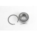 Підшипник маточини GOODREM задній для Renault Megane 03-, Clio 05-  (25x45x55), (+монт. ккт.) RT2148K