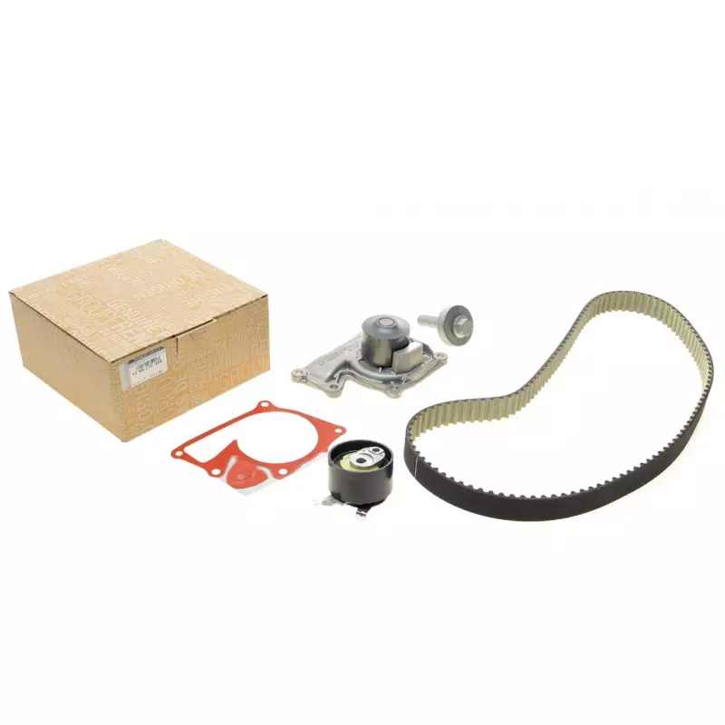 Комплект ГРМ + помпа Renault Clio/Kangoo/Megane/Scenic/Dacia Dokker/Duster/Logan 1.5dCi 08-(27x119z) (119A07049R)
