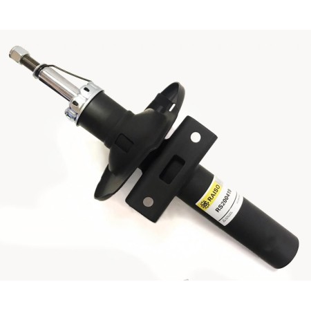 Амортизатор передний RAISO для VW Sharan, Seat Alhambra, Ford Galaxy (1995-2010) (газ) RS200419