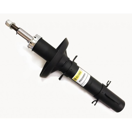 Амортизатор передний RAISO для VW Golf IV, Bora, Skoda Octavia, Seat Leon (1997-2007) (газ) RS200954