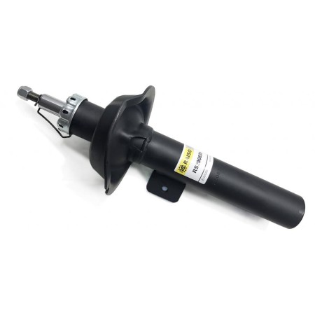 Амортизатор передній RAISO для Ford Connect (2002-) (газ, правий) RS290839