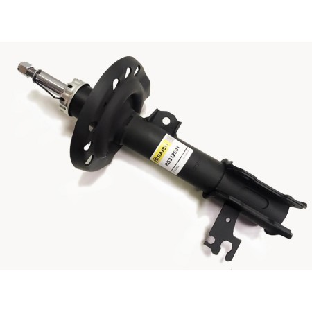 Амортизатор передний RAISO для Fiat Croma, Opel Signum, Vectra C, Vectra C GTS 1.6, 3.2 (2002-) (газ, левый) RS312601