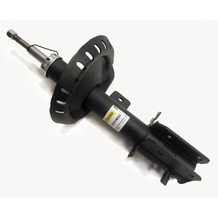Амортизатор передній RAISO для Fiat Scudo, Citroen Jumpy, Peugeot Expert (2007-) (газ, лівий) RS314032