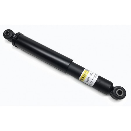 Амортизатор задний RAISO для Renault Kangoo (1998-2008) (40mm) RS317353