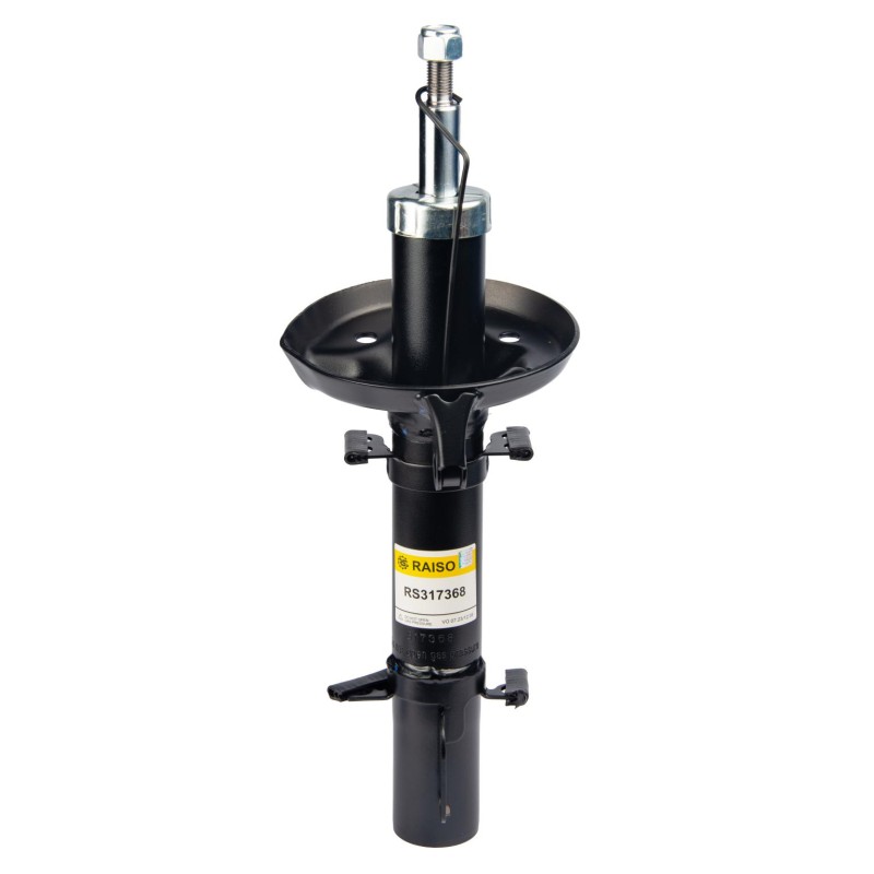 Амортизатор передний RAISO для VW Golf IV, Bora, Skoda Octavia, Seat Leon (1997-2007) (газ, 4x4) RS317368