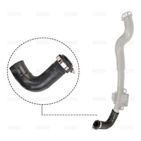 Патрубок интеркулера Kangoo 1.5dCi 08- (12500)