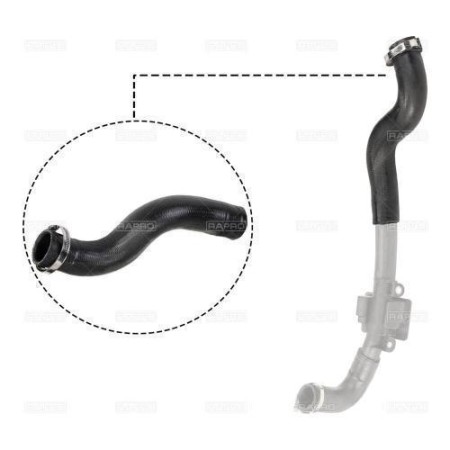Патрубок інтеркулера Kangoo 1.5dCi 08- (12501)