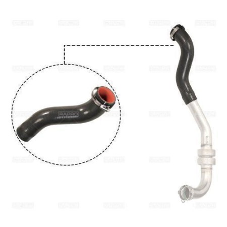 Патрубок интеркулера Kangoo 1.5dCi 08- Л. (12502)