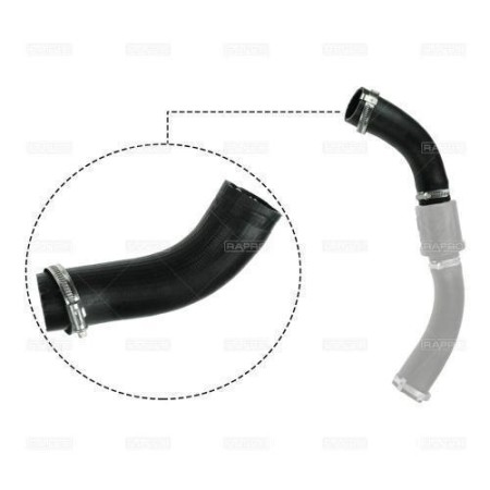 Патрубок интеркулера Transit 2.4TDCI 06- (16246)