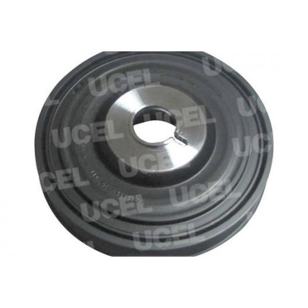 Шкив коленвала Renault Megane/Kangoo/Clio 1.5 dCi 08-/05- (6PK) 1009